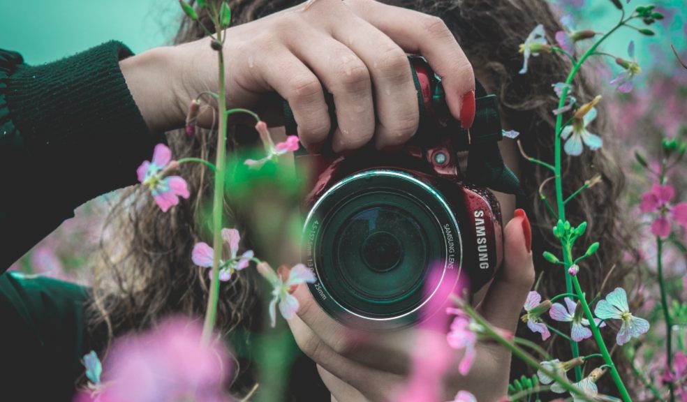 Spring Photography Tips To Help You Capture The Beauty Of The Season